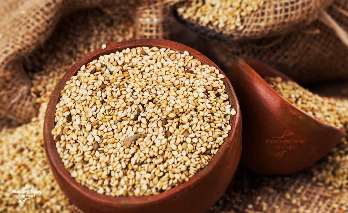 White Sesame Seeds from Sudan